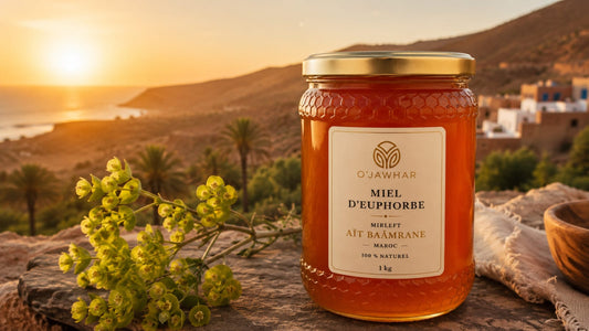 Pot de miel d’euphorbe O’Jawhar présenté dans un paysage de Mirleft et d’Aït Baâmrane au coucher du soleil.